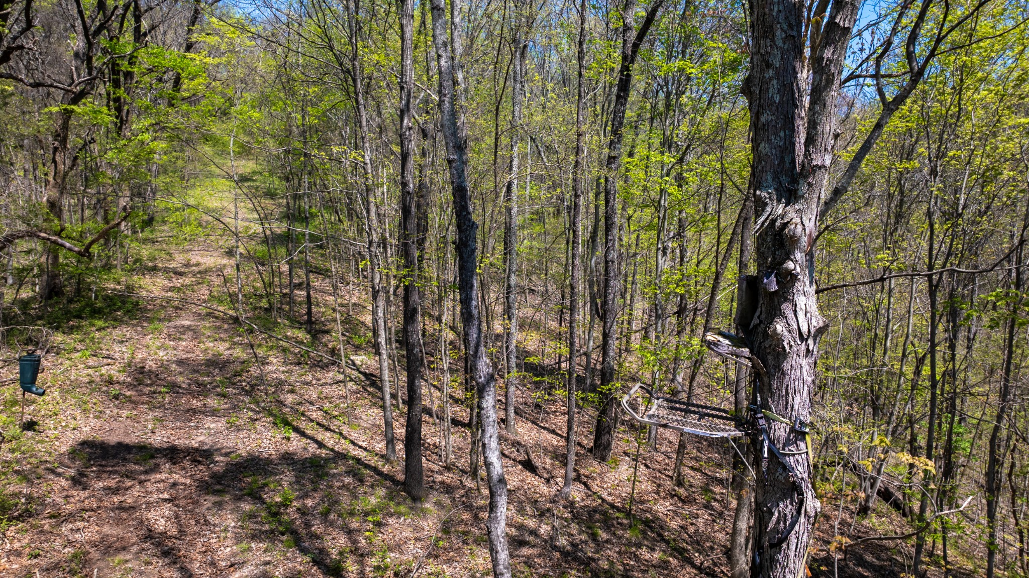 510 Rogues Fork Road Bethpage TN 37022