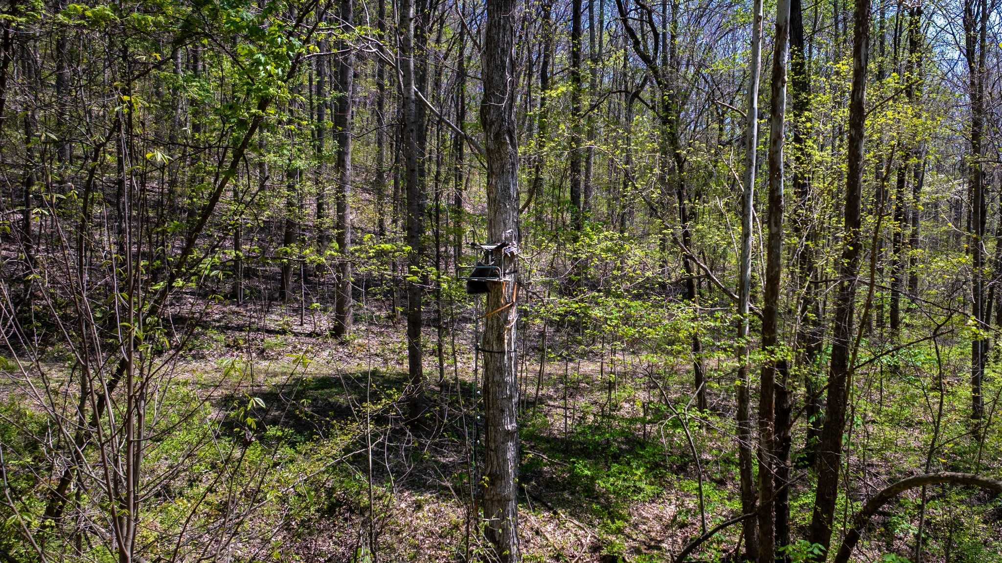 510 Rogues Fork Road Bethpage TN 37022