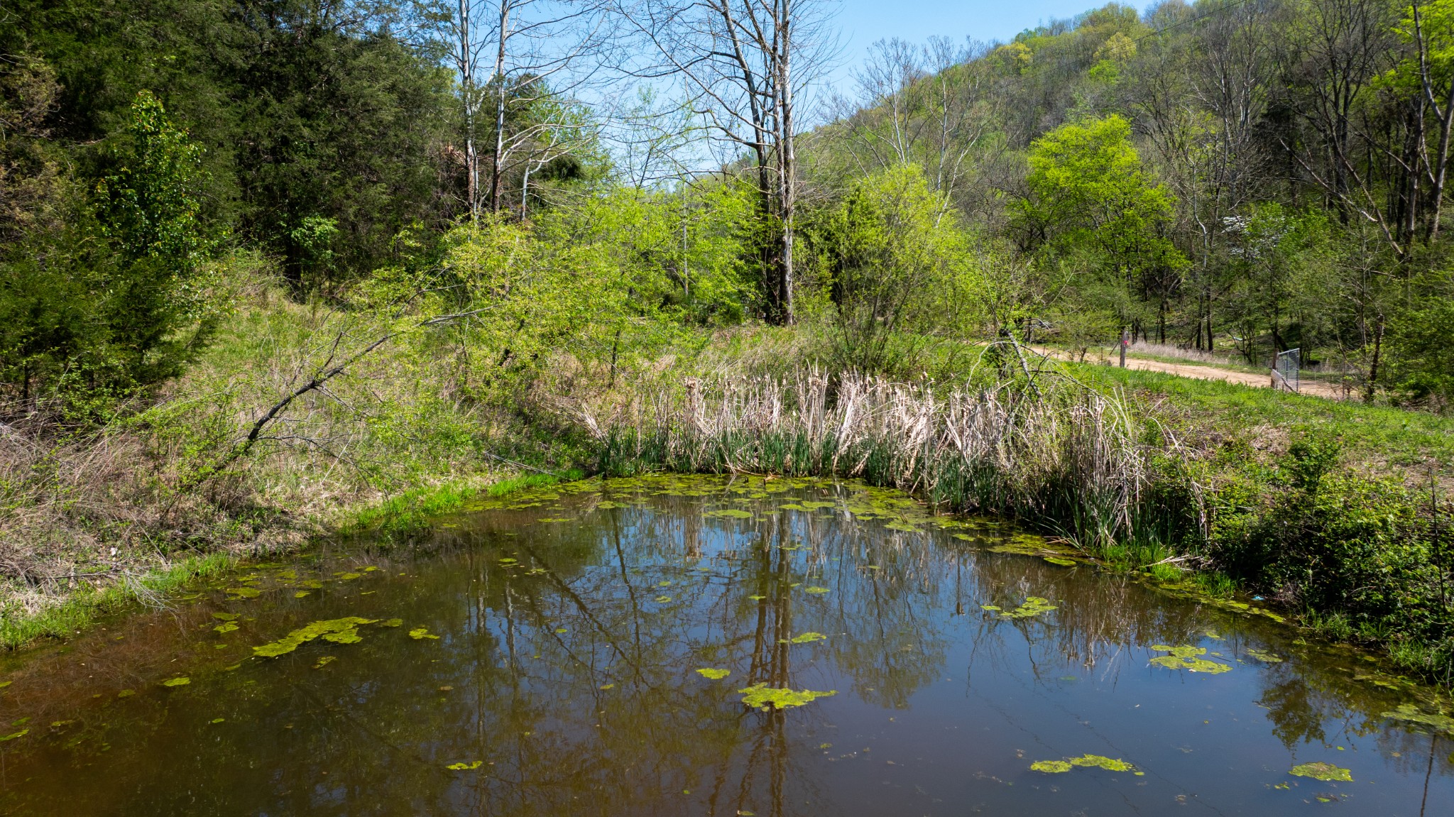 510 Rogues Fork Road Bethpage TN 37022