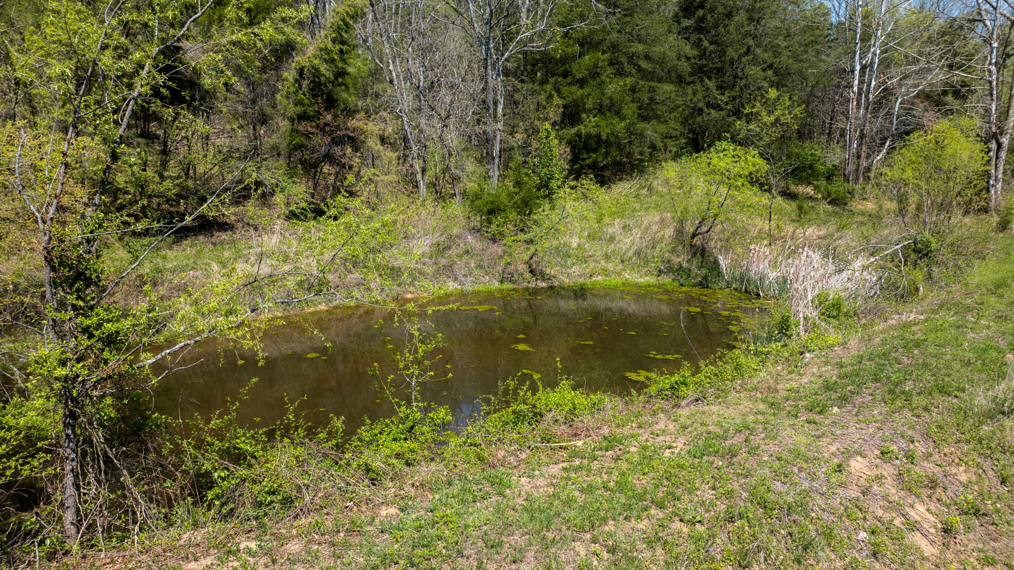 510 Rogues Fork Road Bethpage TN 37022