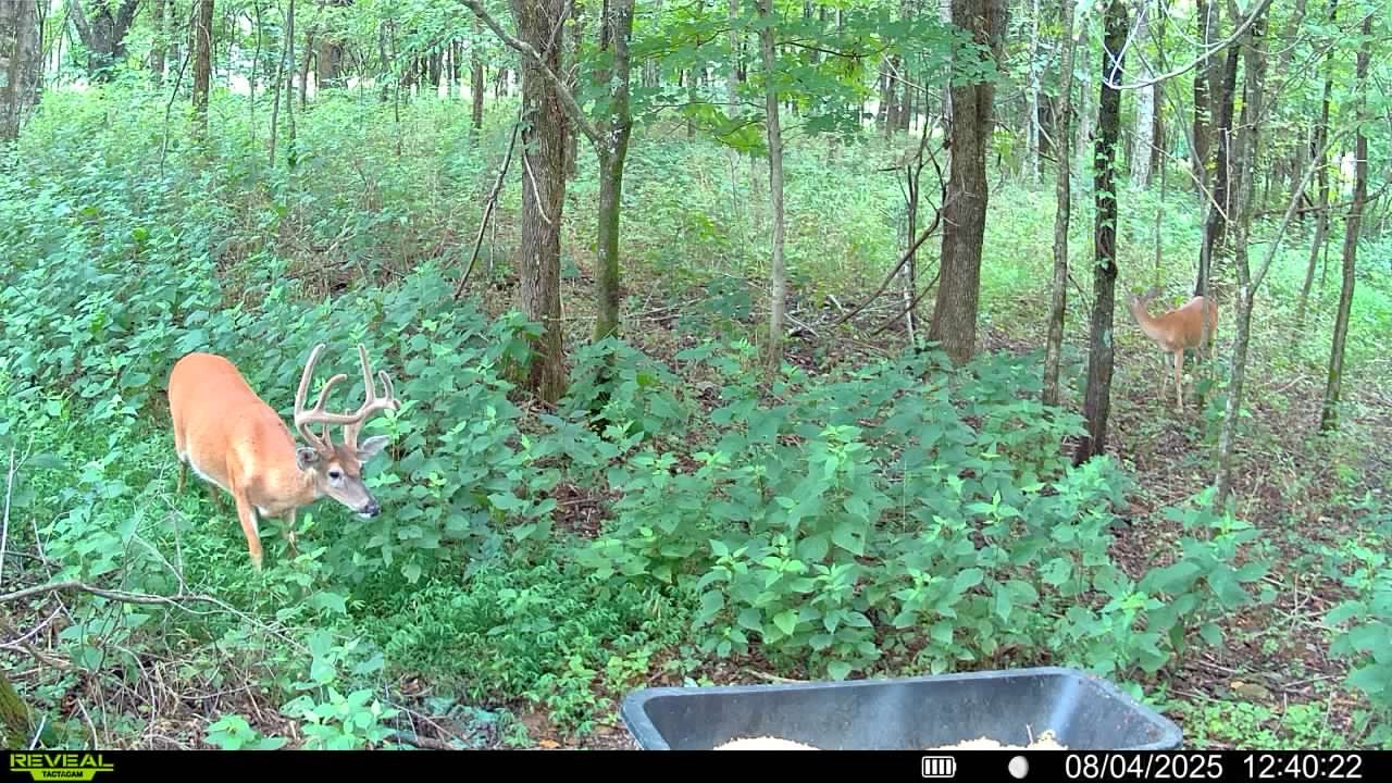 510 Rogues Fork Road Bethpage TN 37022