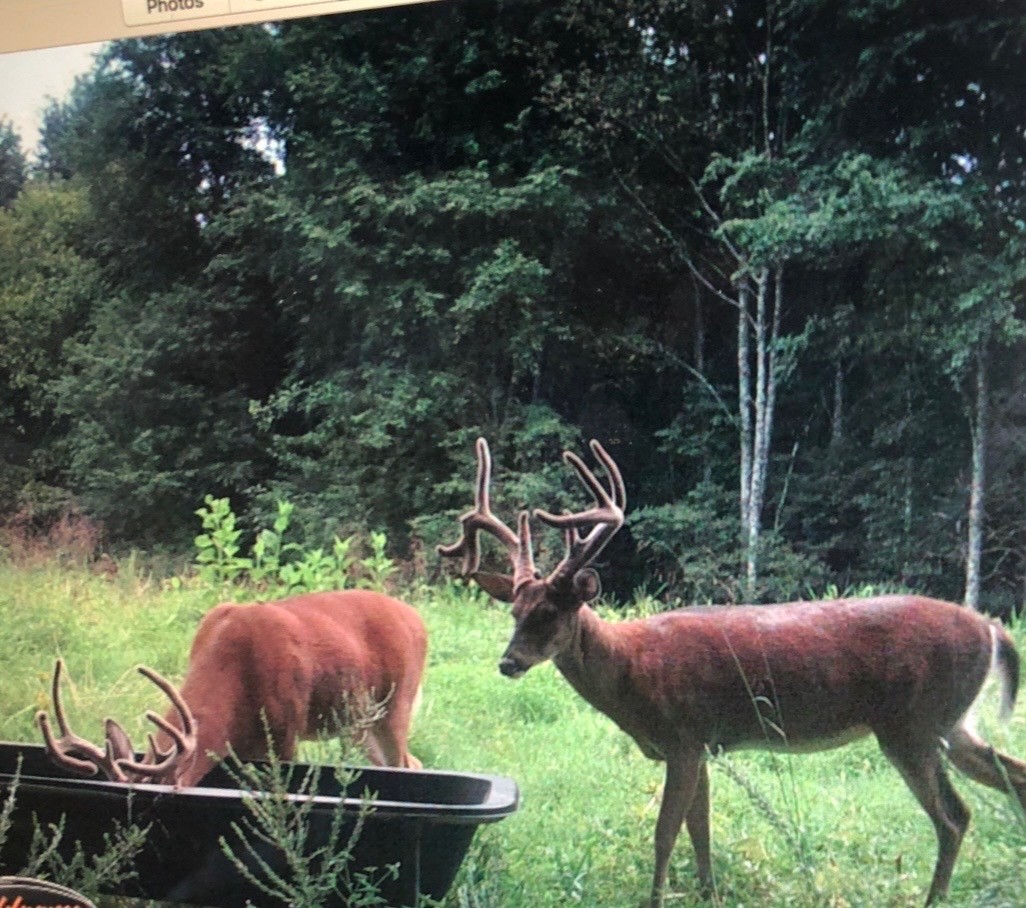 510 Rogues Fork Road Bethpage TN 37022