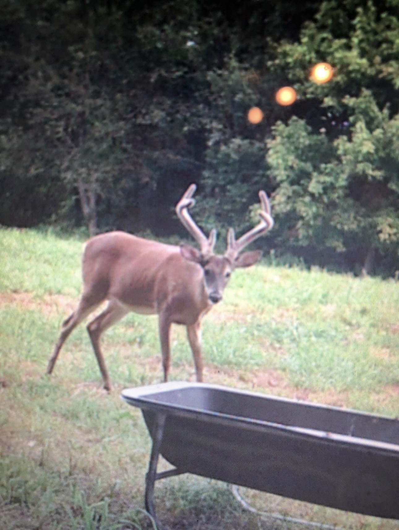 510 Rogues Fork Road Bethpage TN 37022