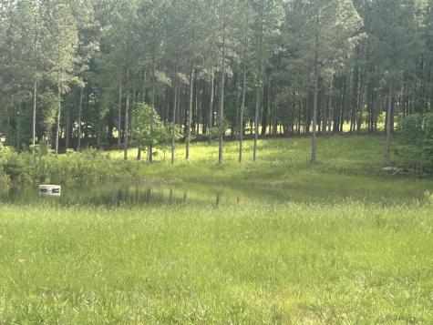 350 Crockett Loop Jasper TN 37347