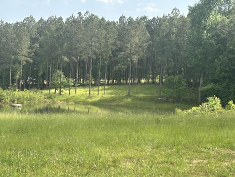 350 Crockett Loop Jasper TN 37347