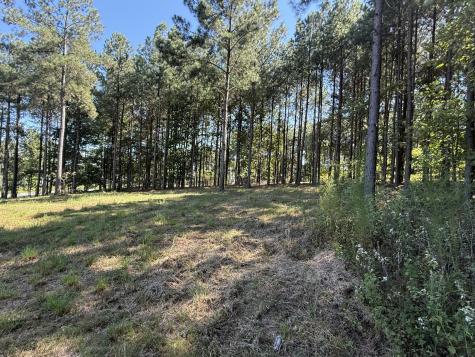 350 Crockett Loop Jasper TN 37347