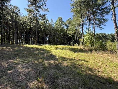 350 Crockett Loop Jasper TN 37347