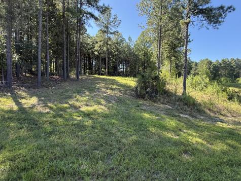 350 Crockett Loop Jasper TN 37347