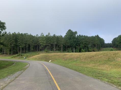 350 Crockett Loop Jasper TN 37347