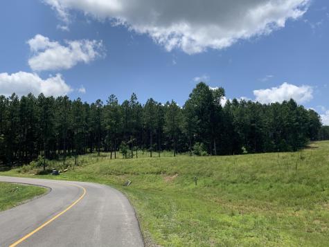 350 Crockett Loop Jasper TN 37347