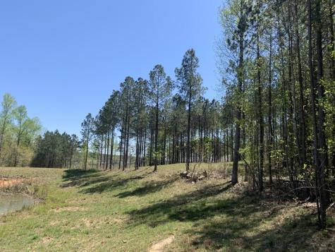 350 Crockett Loop Jasper TN 37347