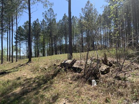 350 Crockett Loop Jasper TN 37347