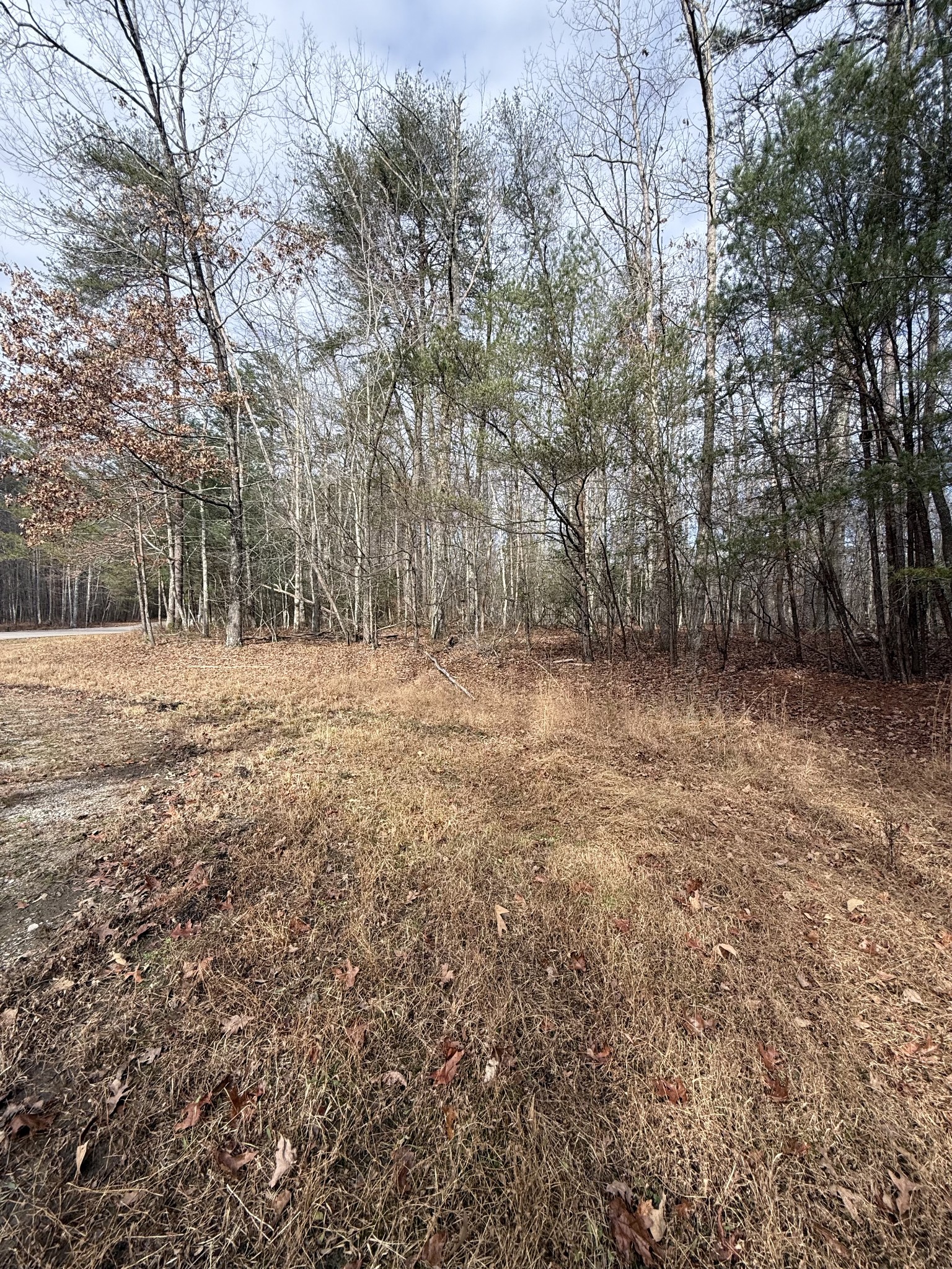 0 Westlake Avenue Monteagle TN 37356