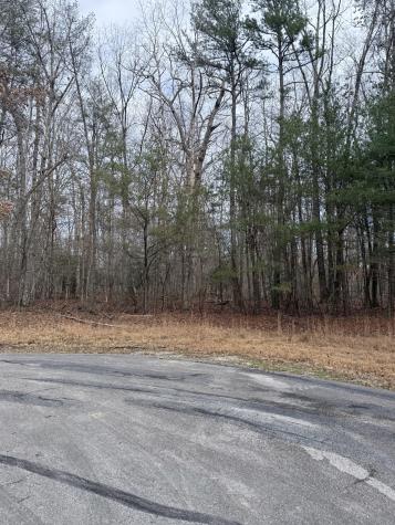 0 Westlake Avenue Monteagle TN 37356