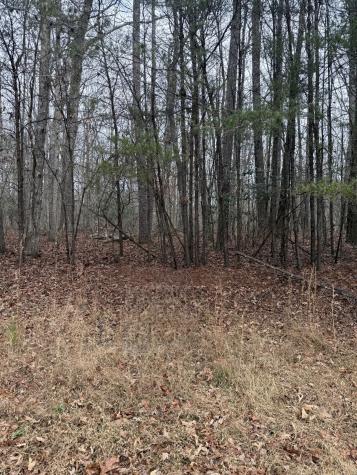 0 Westlake Avenue Monteagle TN 37356