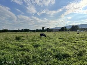 0 Old State Highway 28 Pikeville TN 37367