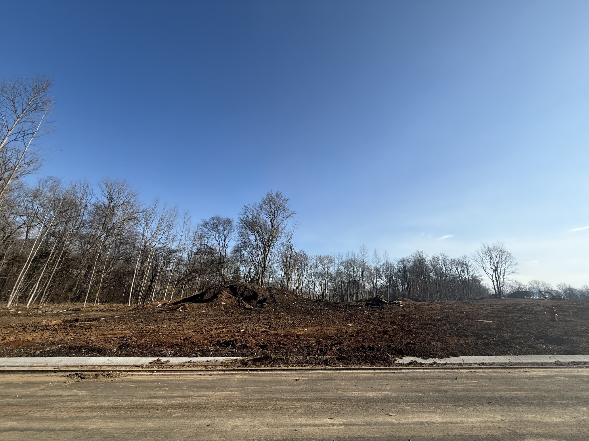 530 Divine Court Arrington TN 37014