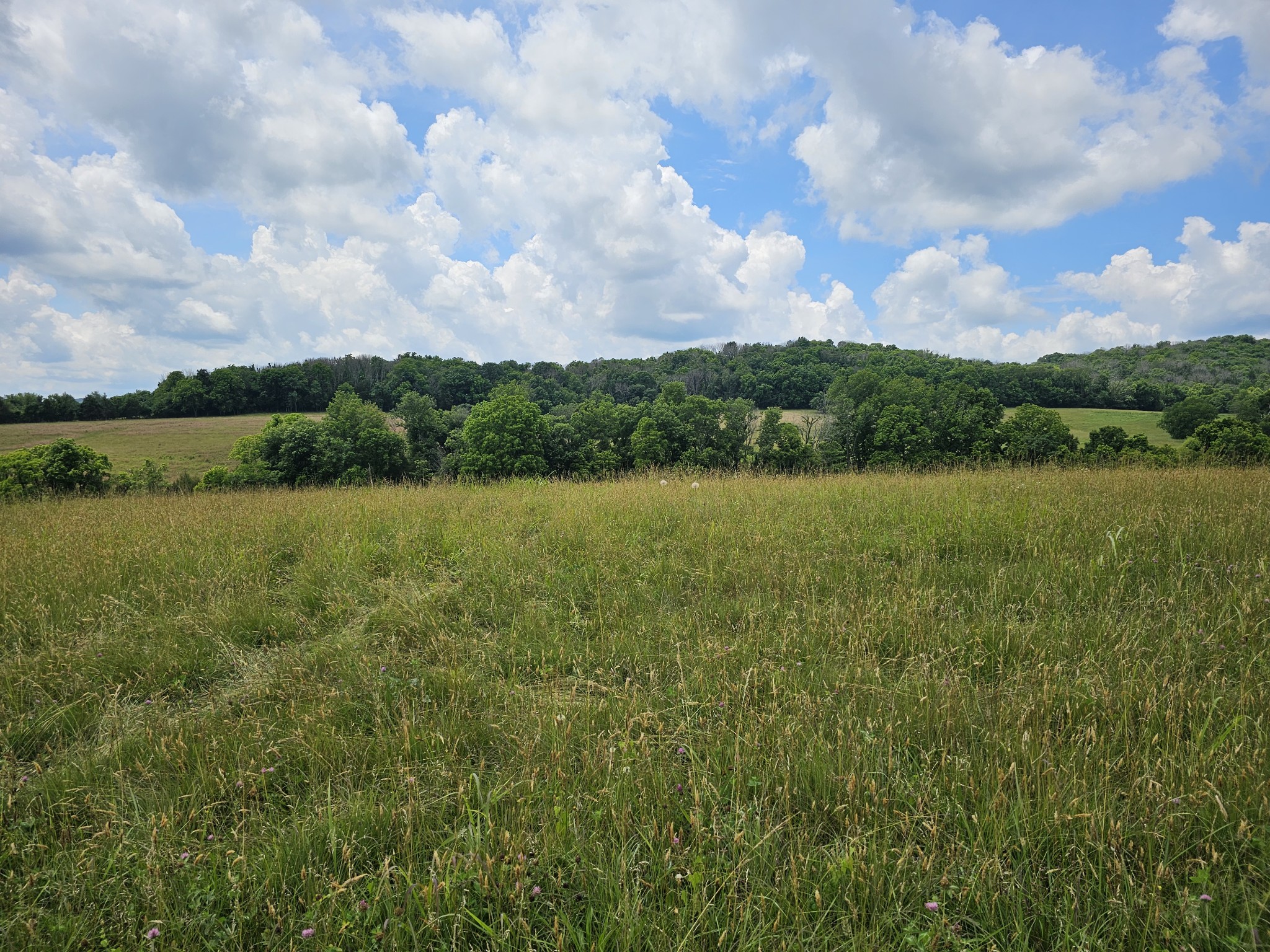 1340 Hearn Hill Road Watertown TN 37184