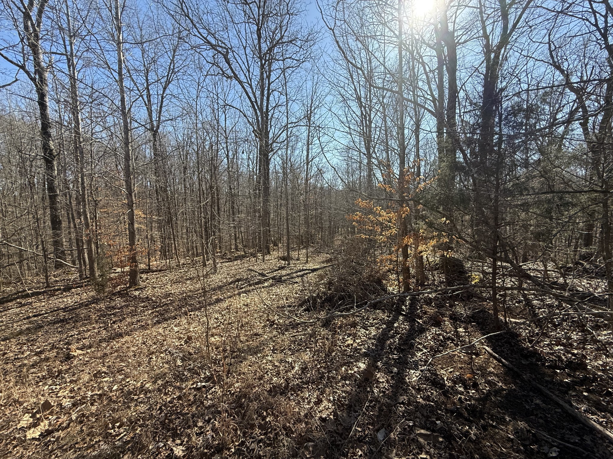 26 Backwoods Estates Indian Mound TN 37079