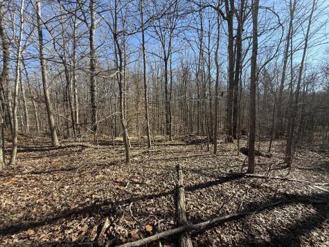 26 Backwoods Estates Indian Mound TN 37079