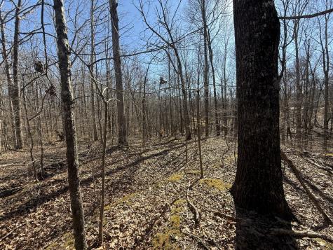 26 Backwoods Estates Indian Mound TN 37079