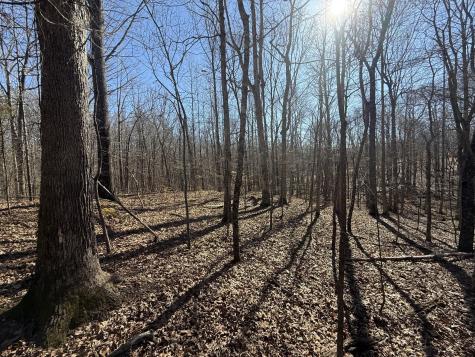 26 Backwoods Estates Indian Mound TN 37079