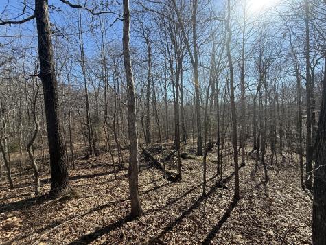 26 Backwoods Estates Indian Mound TN 37079