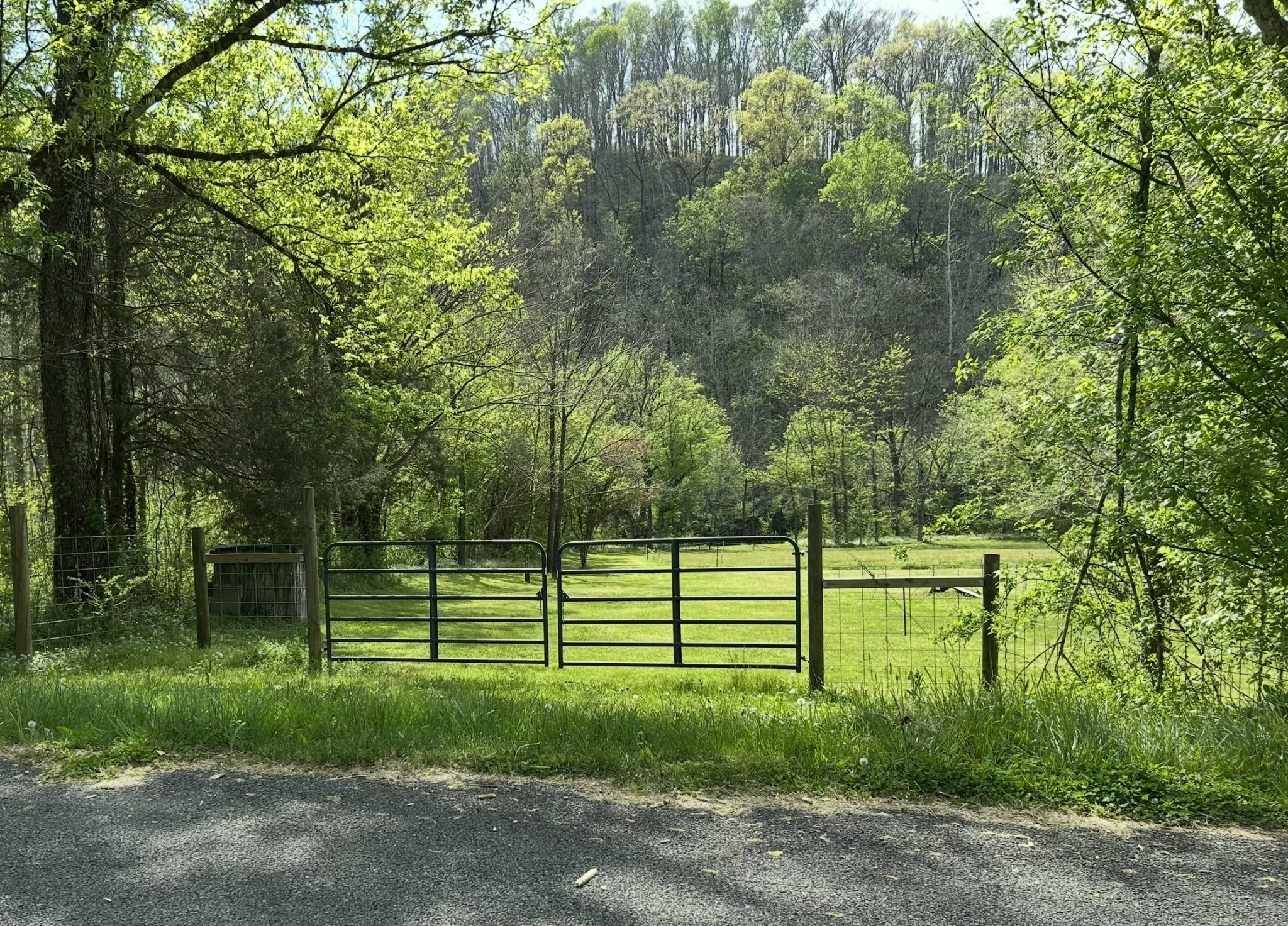 6002 Wet Mill Creek Road Celina TN 38551