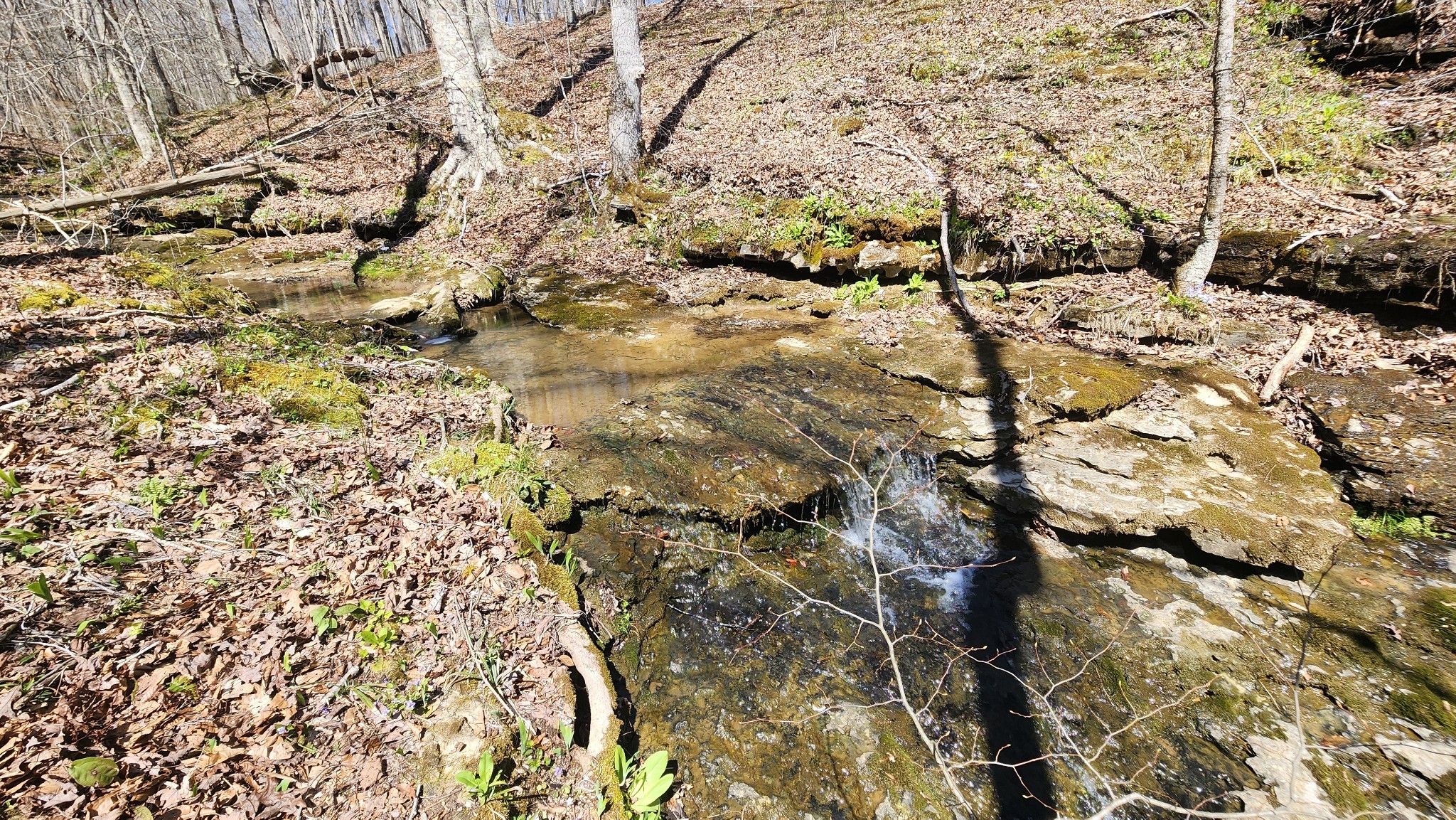 0 Allen Bend Road Smithville TN 37166
