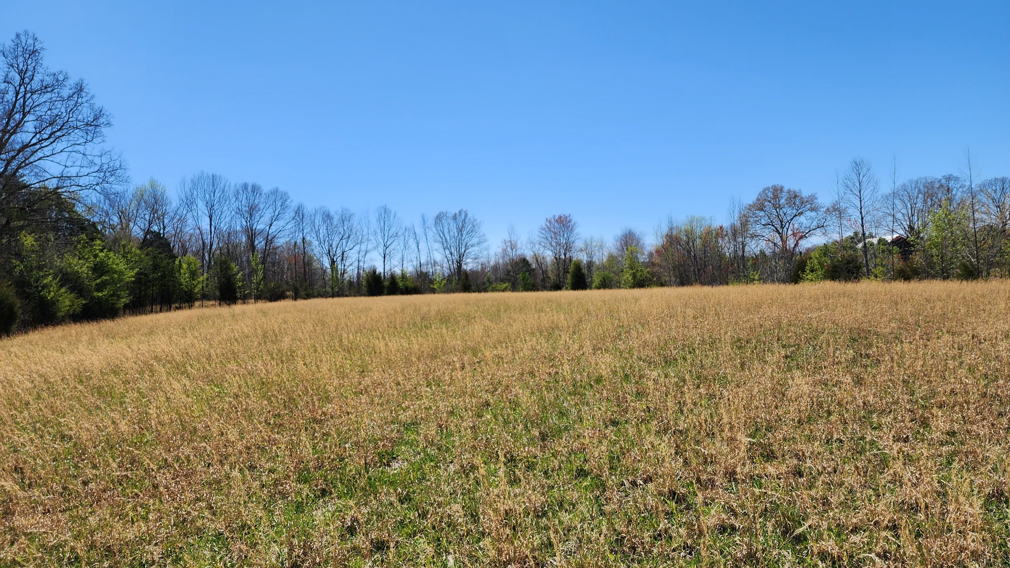 0 Allen Bend Road Smithville TN 37166