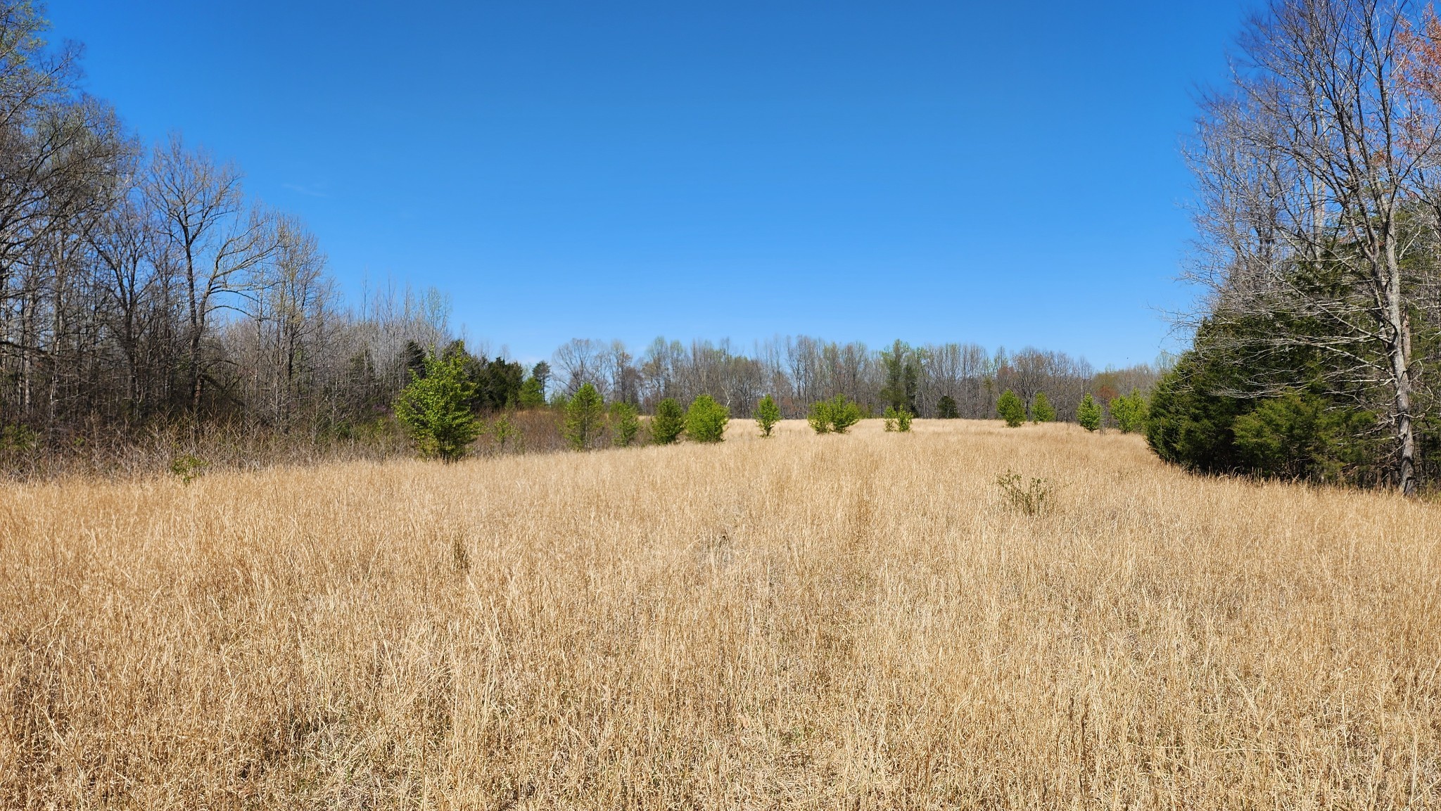 0 Allen Bend Road Smithville TN 37166