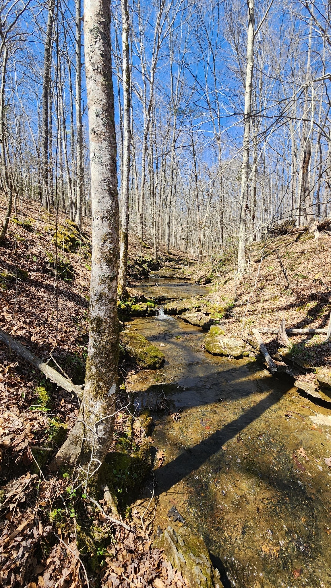 0 Allen Bend Road Smithville TN 37166