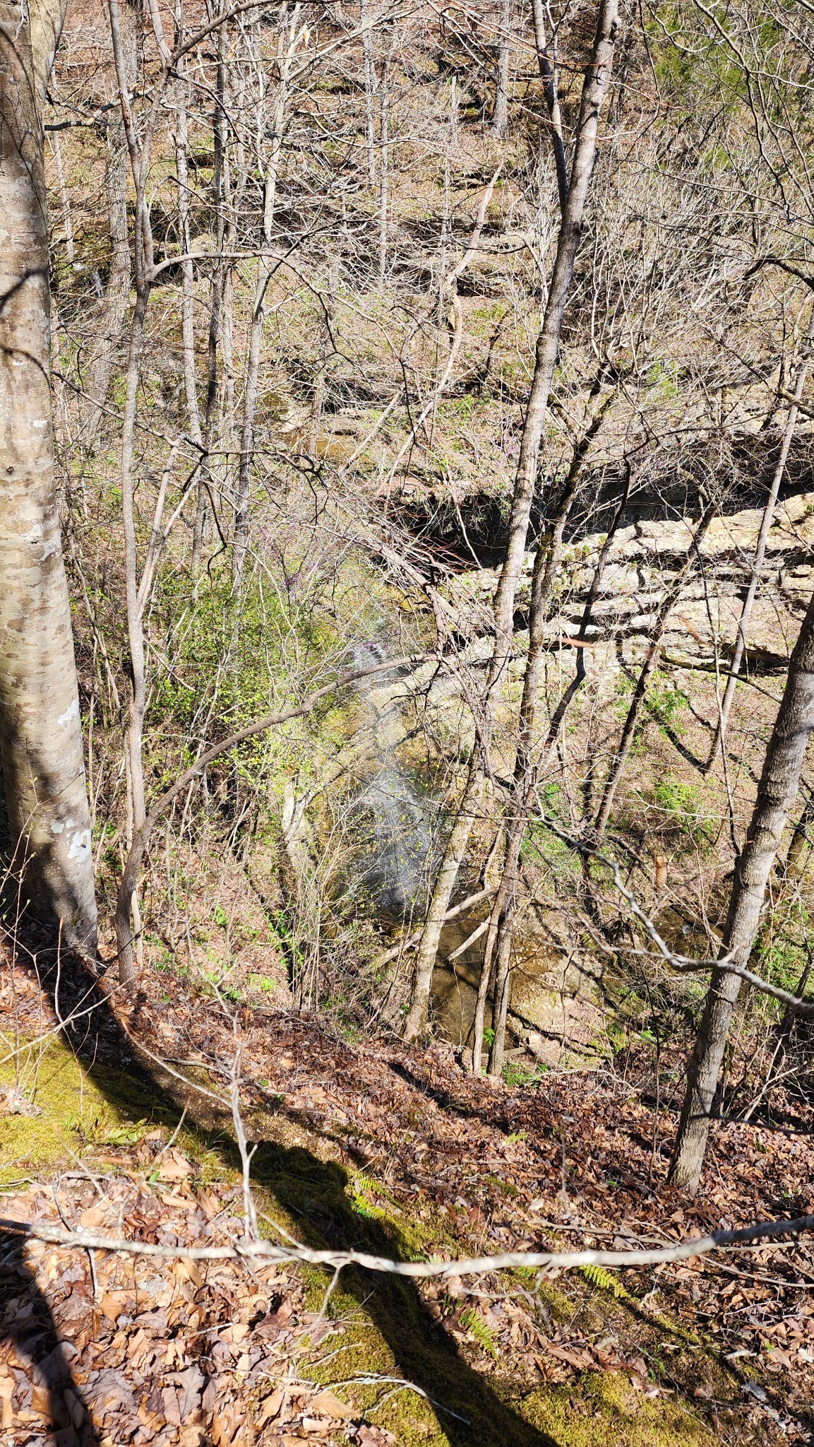 0 Allen Bend Road Smithville TN 37166