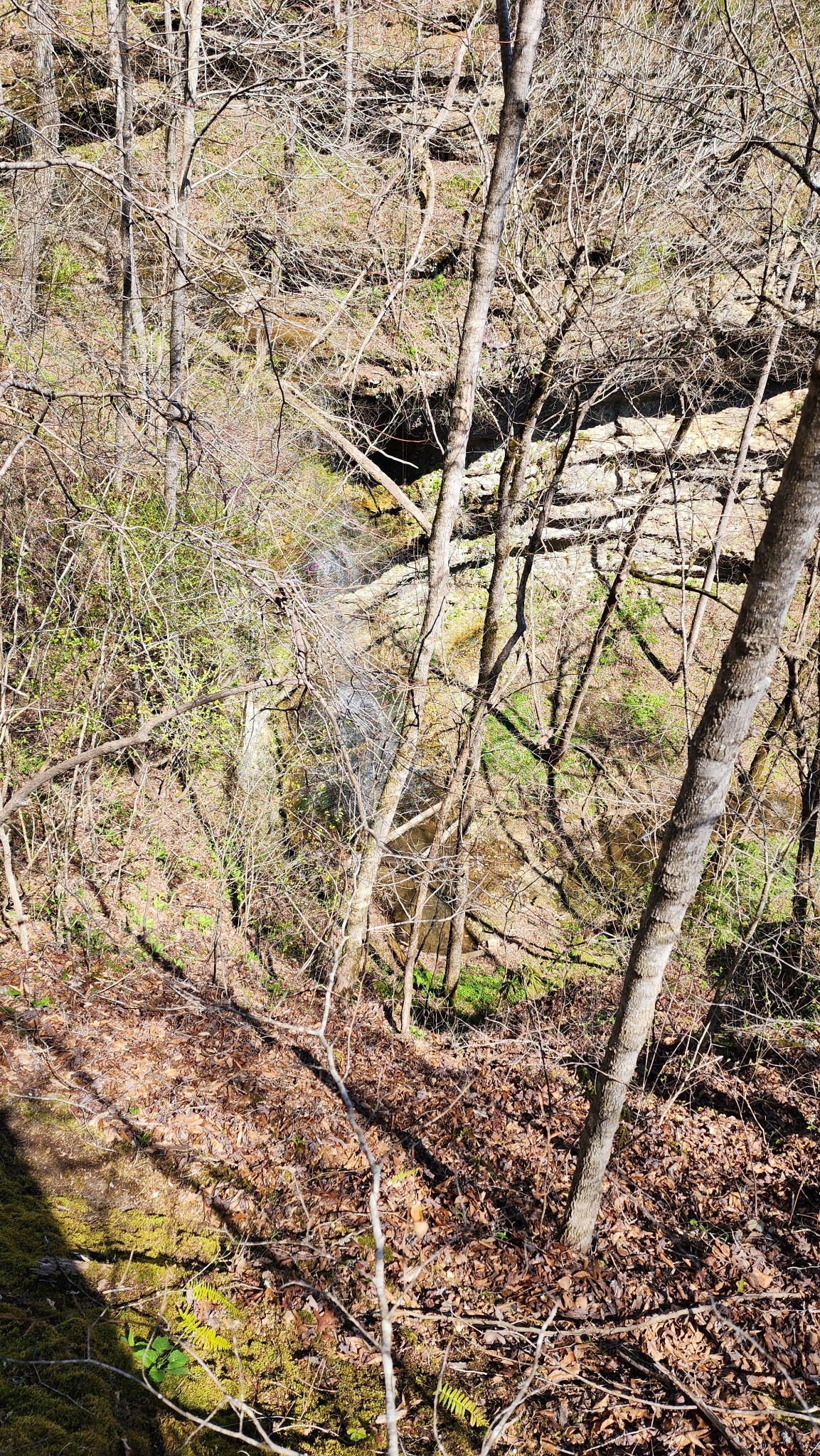 0 Allen Bend Road Smithville TN 37166