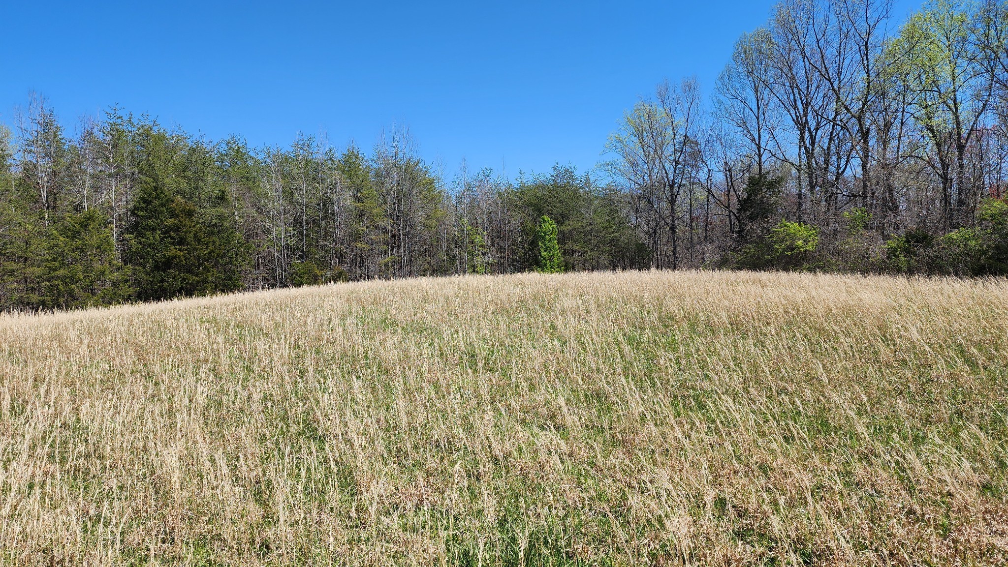 0 Allen Bend Road Smithville TN 37166