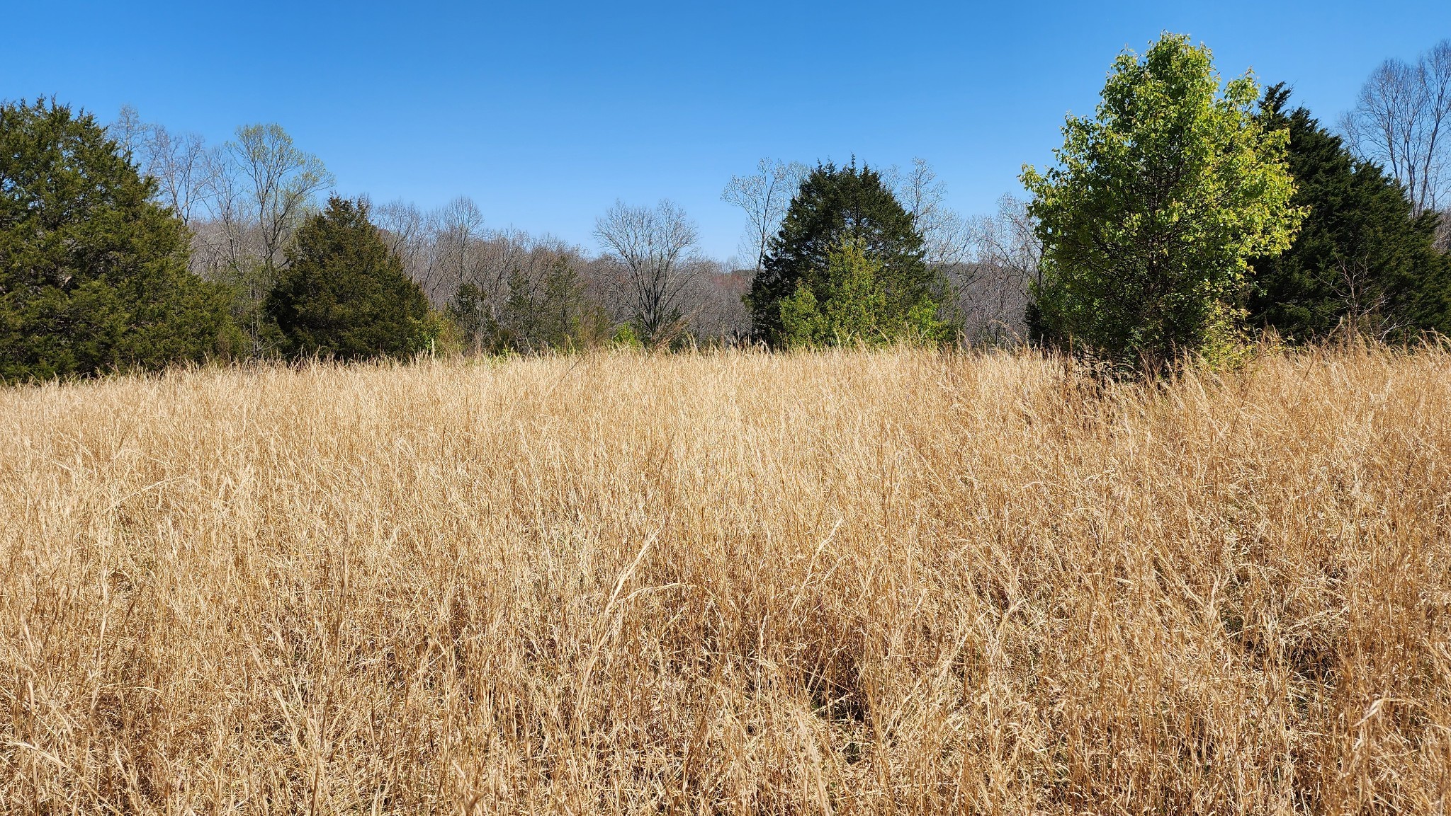 0 Allen Bend Road Smithville TN 37166