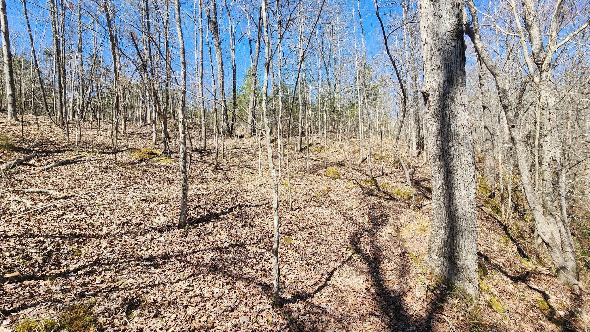 0 Allen Bend Road Smithville TN 37166