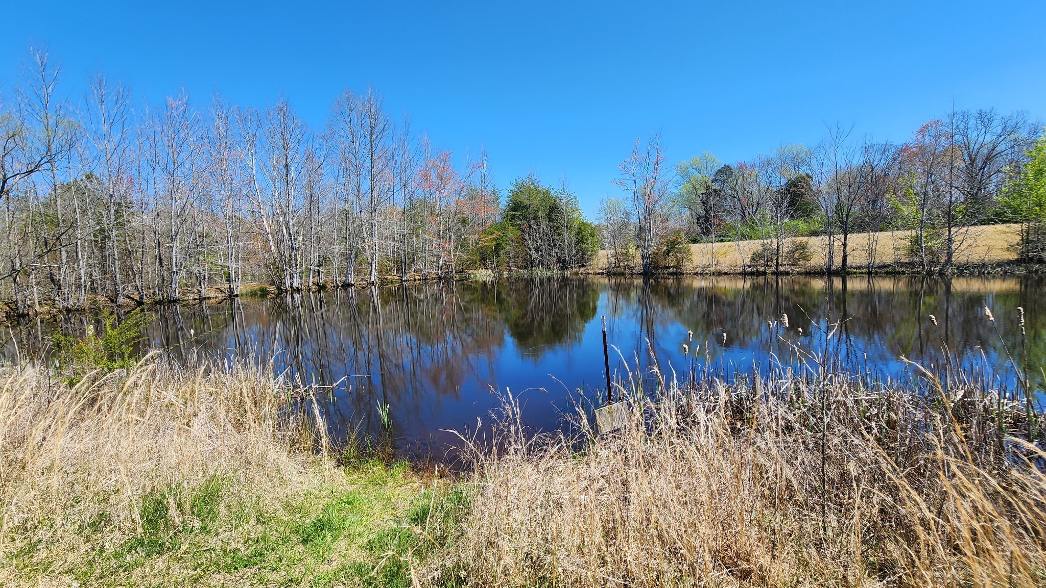 0 Allen Bend Road Smithville TN 37166