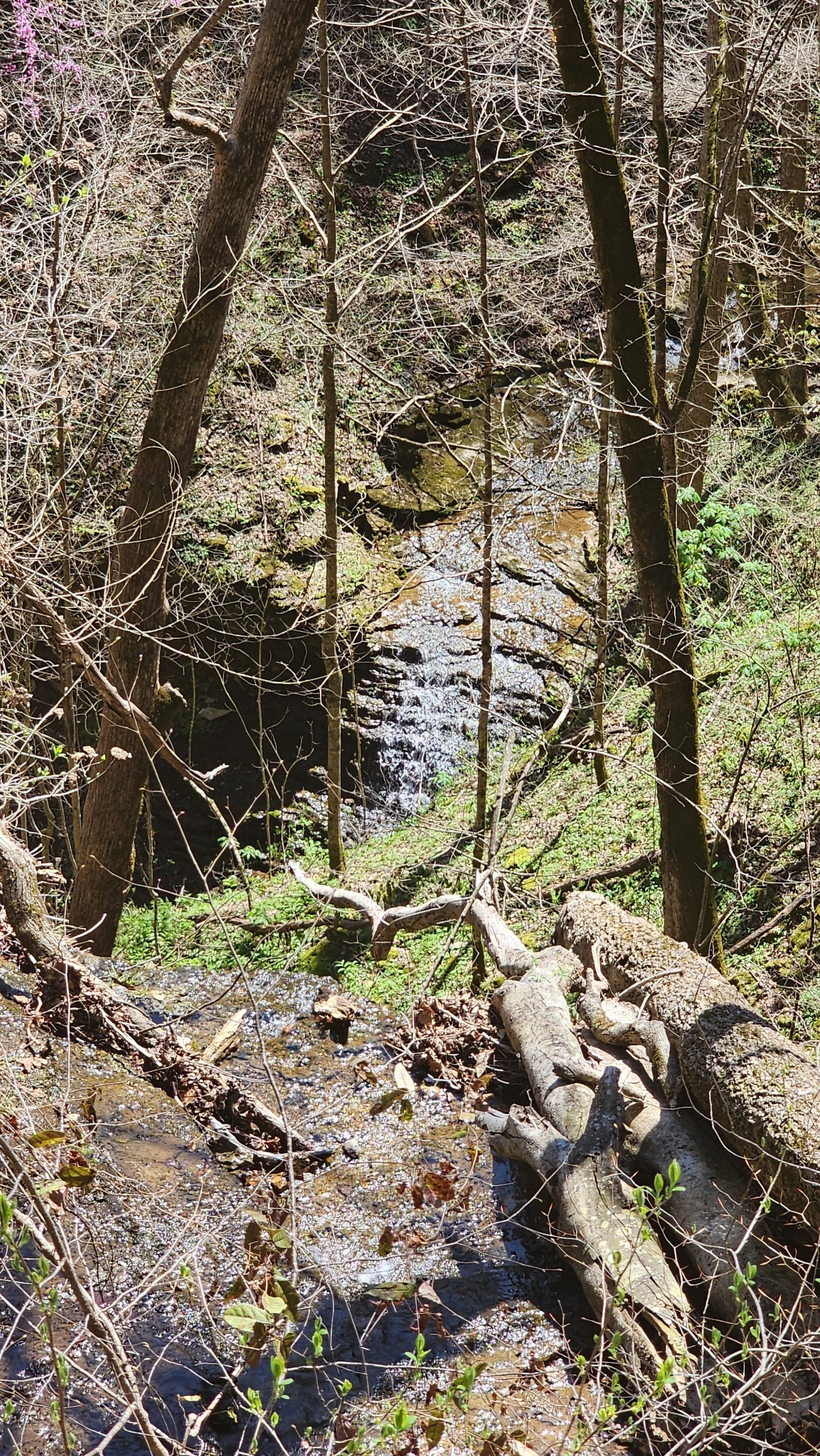 0 Allen Bend Road Smithville TN 37166