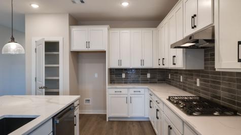 4162 Dream Beetle Loop Rockvale TN 37153