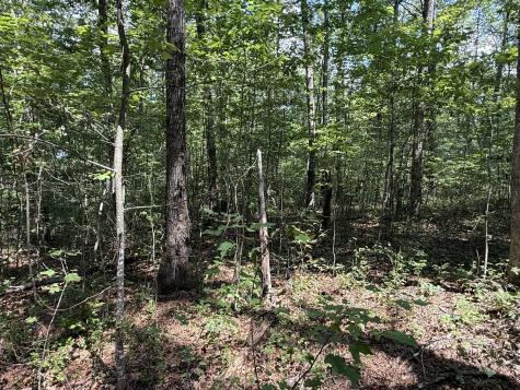 0 Shadow Rock Dr, E Monteagle TN 37356