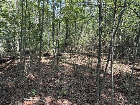 0 Shadow Rock Dr, E Monteagle TN 37356