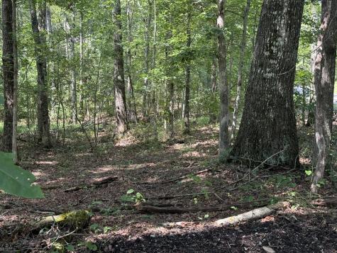 0 Shadow Rock Dr, E Monteagle TN 37356