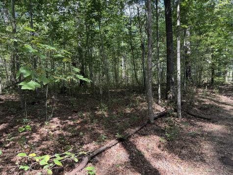 0 Shadow Rock Dr, E Monteagle TN 37356