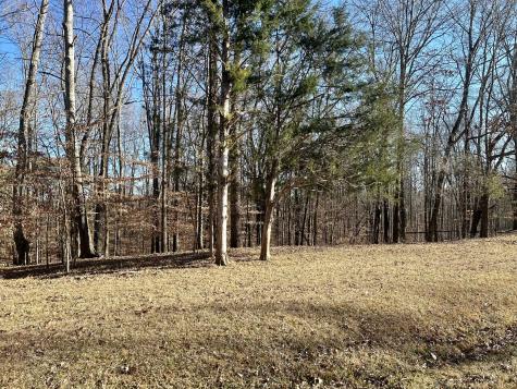 0 Perrys Place Lynchburg TN 37352