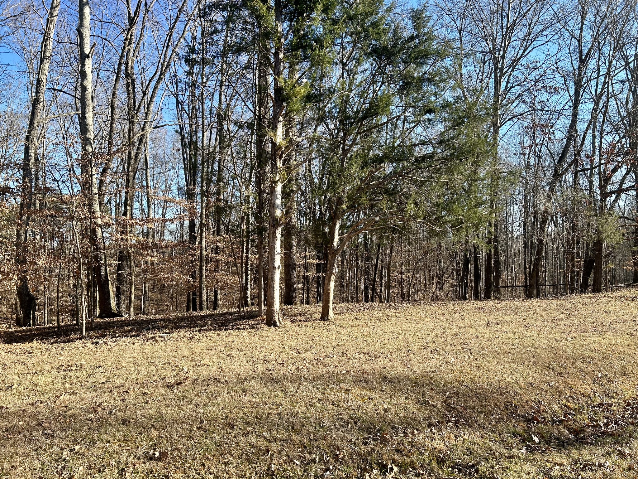 0 Perrys Place Lynchburg TN 37352