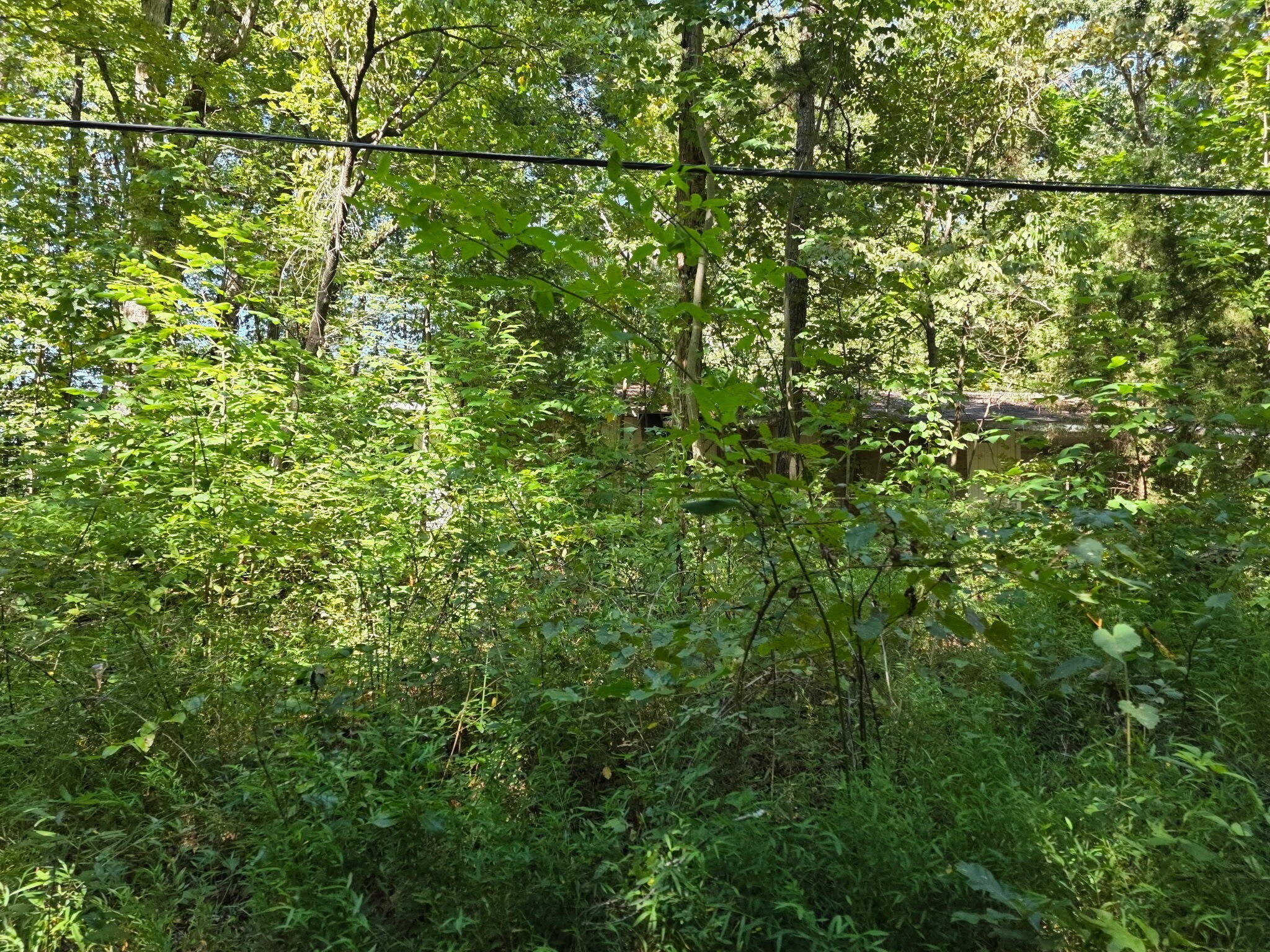 2742 Michigan Ave Road, NE Cleveland TN 37323