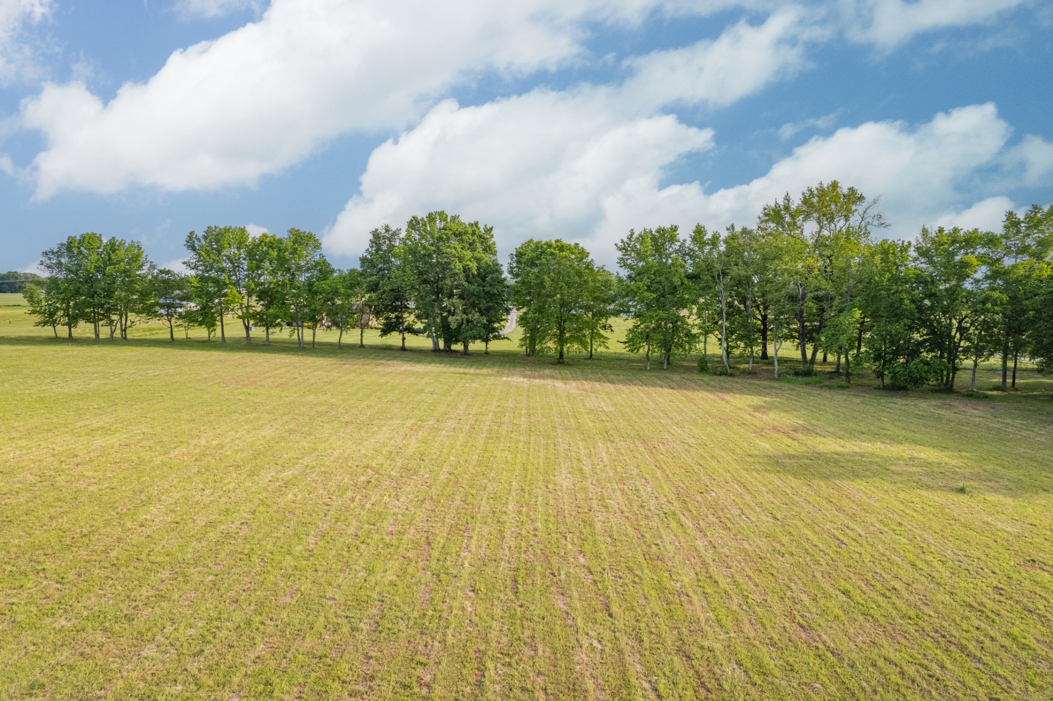 0 Dooley Road Ethridge TN 38456