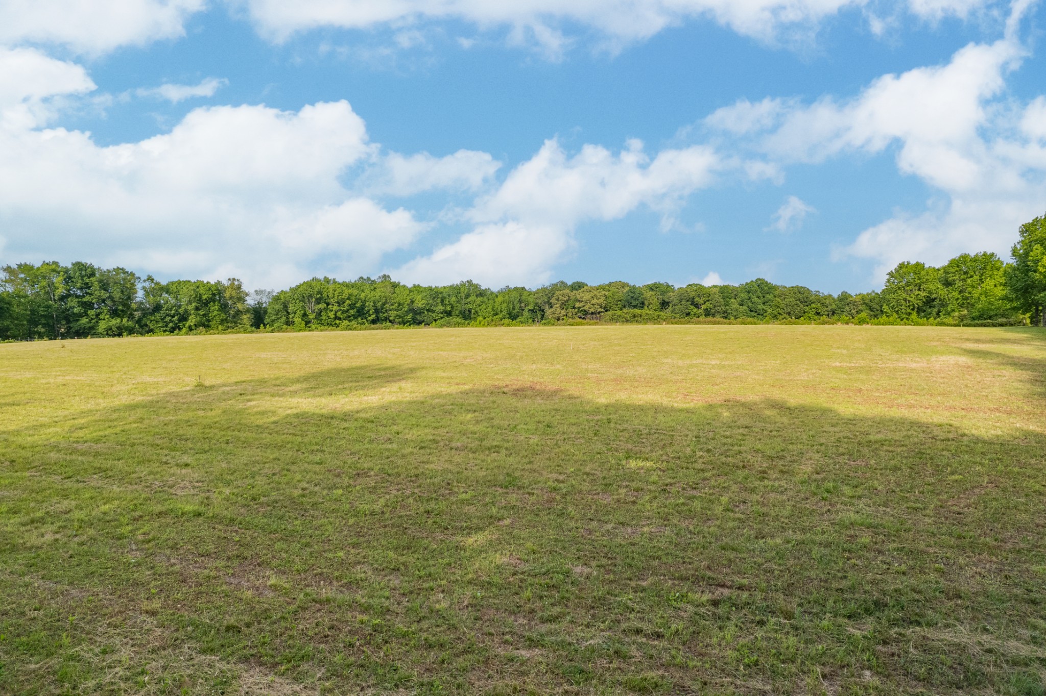 0 Dooley Road Ethridge TN 38456