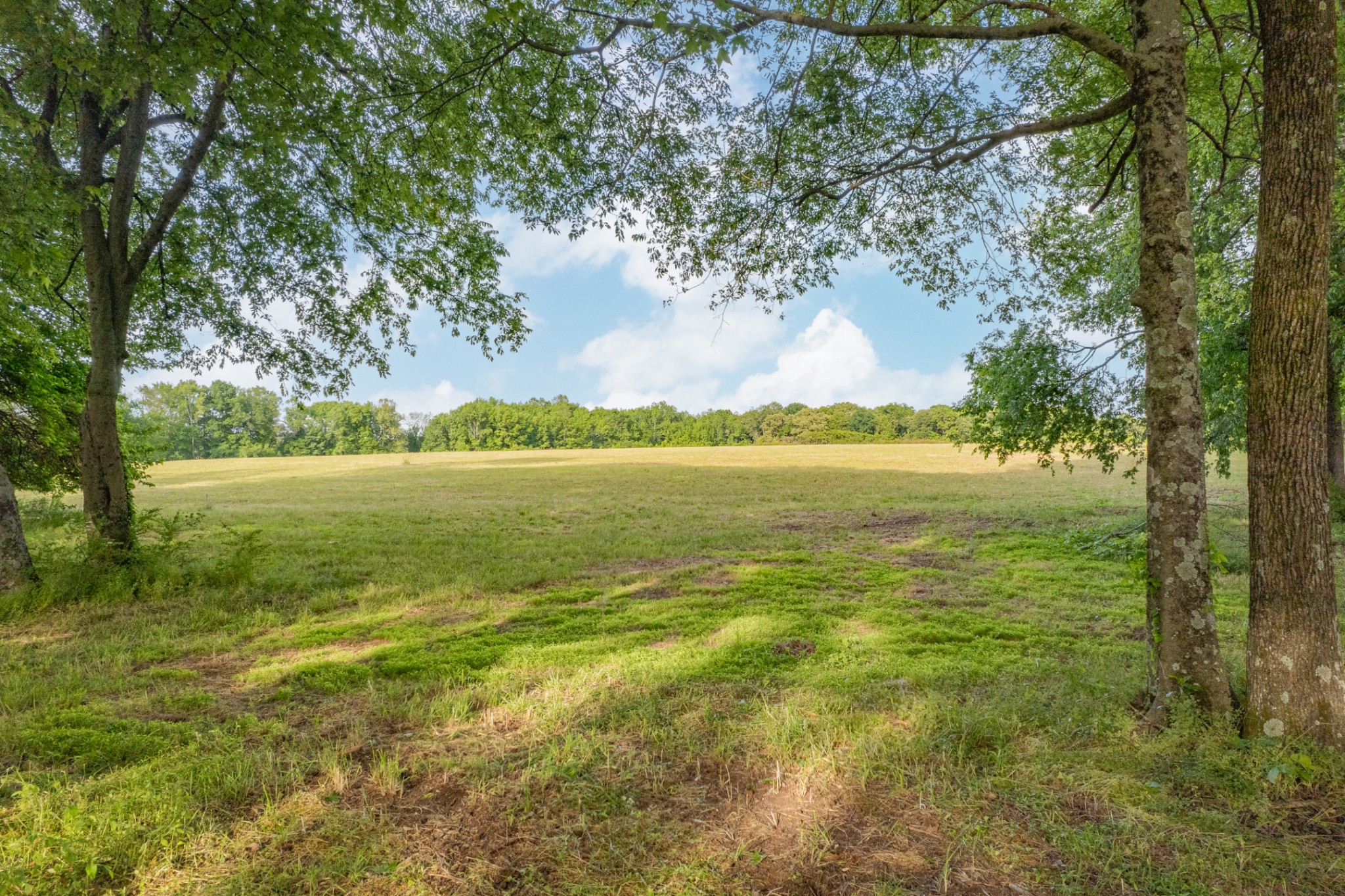 0 Dooley Road Ethridge TN 38456